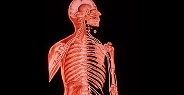 Altn plak ile uzayllara gnderilen fotoraflar