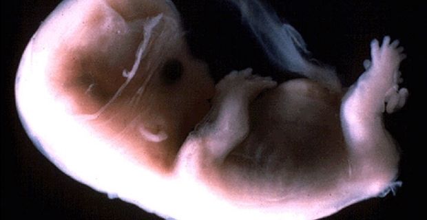 Alt�n plak ile uzayl�lara g�nderilen foto�raflar